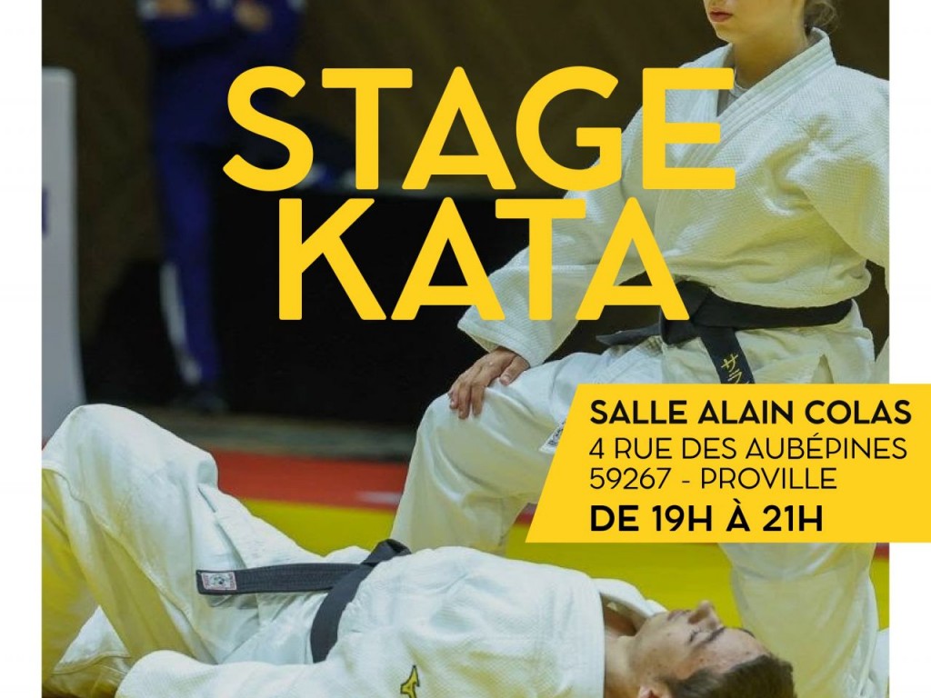Image de l'actu 'STAGE KATA LE 16 OCTOBRE A PROVILLE'