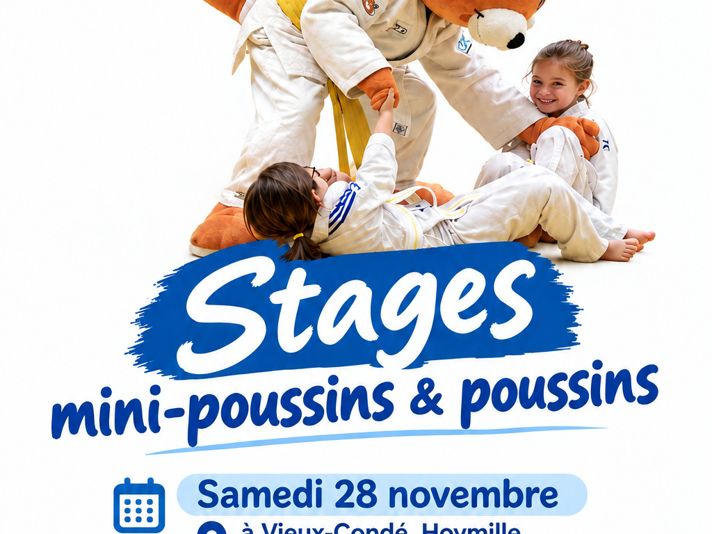 Image de l'actu 'STAGES MINI-POUSSINS ET POUSSINS'
