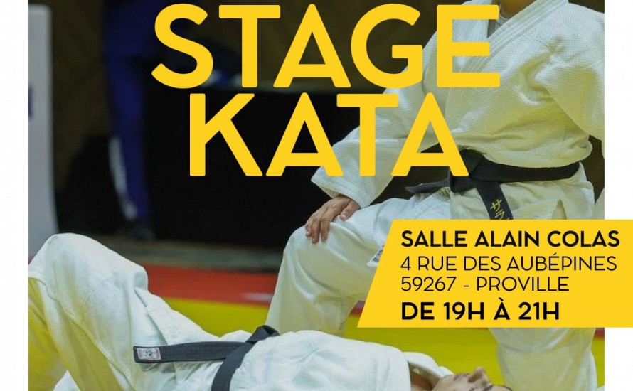 STAGE KATA LE 16 OCTOBRE A PROVILLE